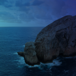 banners_site_Sa Vaa-04